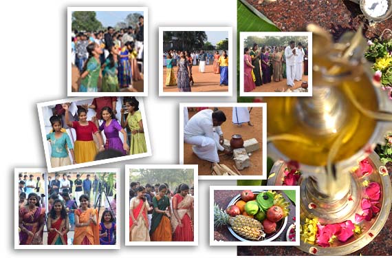 Pongal Celebration